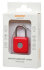 Умный замок Digma SmartLock P1 навесной разбл.отпеч.паль. 100mAh красный (SRP1)